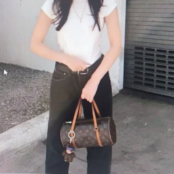 Louis Vuitton Monogram Canvas Pappilon 26 With COA - Picture 15 of 15